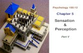 Psychology 100:12 Chapter 5 Sensation  &  Perception Part V