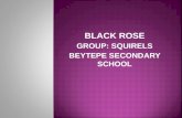 BLACK ROSE GROUP: SQUIRELS BEYTEPE SECONDARY SCHOOL