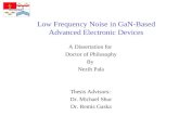 Low Frequency Noise in GaN-Based Advanced Electronic Devices