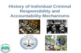 History of Individual Criminal Responsibility and Accountability Mechanisms