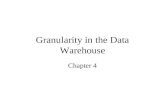 Granularity in the Data Warehouse