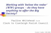 Working with ‘below the radar’  (‘BTR’) groups  - do they have anything to offer the Big Society?