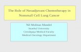 The Role of Neoadjuvant Chemotherapy in  Nonsmall Cell Lung Cancer
