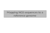 Mapping NGS sequences to a reference genome