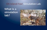 Oh Island Fox!  Simulation Lab