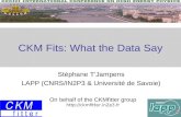 CKM Fits: What the Data Say