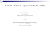 Florida’s Electric Capacity and Fuel Needs