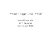 Prairie Ridge Soil Profile