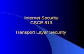 Internet Security CSCE 813 Transport Layer Security