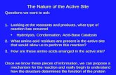 The Nature of the Active Site