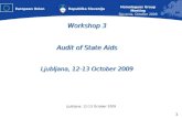 Workshop 3 Audit of State Aids Ljubljana, 12-13 October 2009