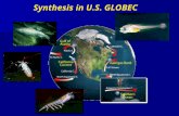 Synthesis in U.S. GLOBEC
