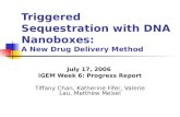 Triggered Sequestration with DNA Nanoboxes:  A New Drug Delivery Method