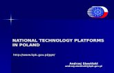 NATIONAL TECHNOLOGY PLATFORMS  IN POLAND