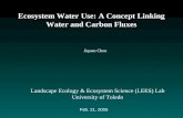 Ecosystem Water Use: A Concept Linking Water and Carbon Fluxes