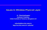 Issues in Wireless Physical Layer