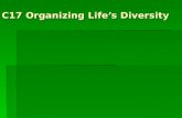 C17 Organizing Life ’ s Diversity