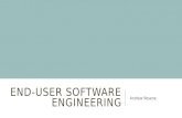 End-User Software Engineering