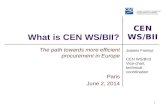 What is CEN WS/BII?