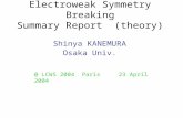 Electroweak Symmetry Breaking Summary Report  (theory)