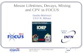 Meson Lifetimes, Decays, Mixing  and CPV in FOCUS