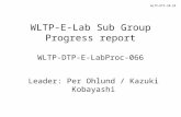 WLTP-E-Lab Sub Group Progress report WLTP-DTP-E-LabProc-066
