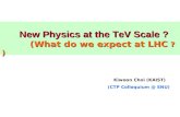 New Physics at the TeV Scale ? (What do we expect at LHC  ?)