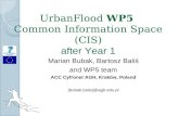 UrbanFlood  WP5 Common Information Space (CIS) after Year 1