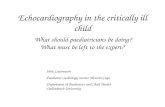 Echocardiography in the critically ill child