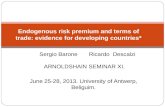 Endogenous risk premium and terms of trade: evidence for developing countries*