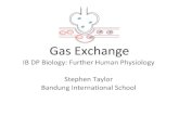 gas exchange fhp