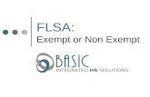 FLSA: Exempt or Non Exempt