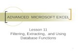 ADVANCED  MICROSOFT EXCEL Lesson 11 Filtering, Extracting,  and Using Database Functions