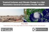 Tropical Cyclones and Climate Change in a High Resolution General Circulation Model,  HiGEM