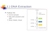 1.) DNA Extraction