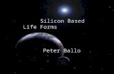 Silicon Based Life Forms Peter Ballo