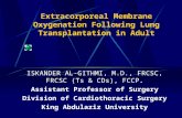 Extracorporeal Membrane Oxygenation Following Lung Transplantation in Adult