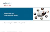 Services in a Converged WAN
