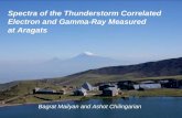 Spectra of the Thunderstorm Correlated  Electron and Gamma-Ray Measured  at Aragats