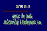 Agency: The Inside Relationship & Employmenet Law