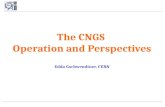 The CNGS  Operation and Perspectives l Edda Gschwendtner, CERN