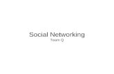 Social Networking Team Q