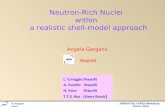 Neutron-Rich Nuclei  within   a realistic shell-model approach Angela Gargano Napoli