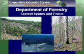 Department of Forestry