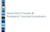 Heart/Neck Vessels & Peripheral Vascular/Lymphatics