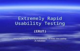 Extremely Rapid Usability Testing