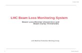 LHC Beam Loss Monitoring System
