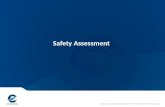 Safety Assessment
