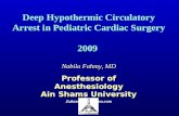 Deep Hypothermic Circulatory Arrest in Pediatric Cardiac Surgery 2009