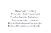 Database Tuning Principles, Experiments and Troubleshooting Techniques